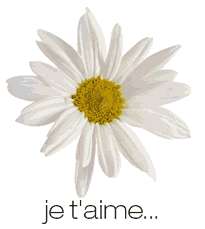 je t'aime...